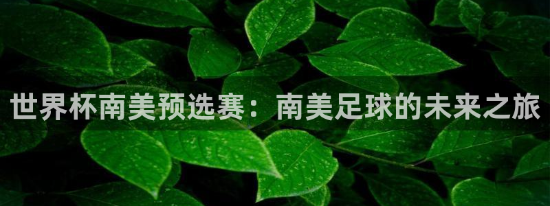 2026世界杯赛:世界杯南美预选赛:南美足球的未来之旅