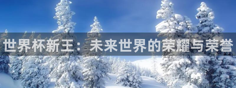 世界杯预选赛欧洲区赛程:世界杯新王:未来世界的荣耀与荣誉