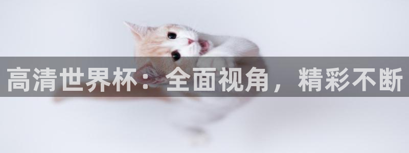 联赛杯直播:高清世界杯:全面视角,精彩不断