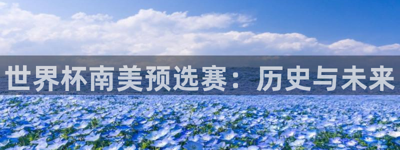 世界杯足球赛2026:世界杯南美预选赛:历史与未来