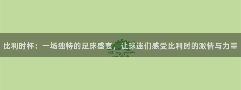 世界杯足球比赛:比利时杯:一场独特的足球盛宴,让球迷们感受比利时的激情与力量