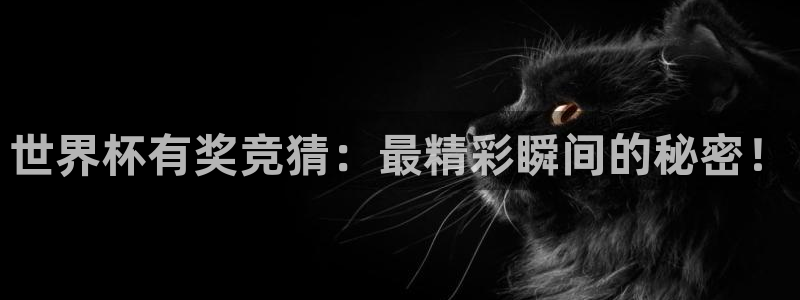 世界杯葡萄牙赛程:世界杯有奖竞猜:最精彩瞬间的秘密!