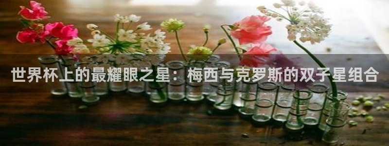 免费看足球直播比赛:世界杯上的最耀眼之星:梅西与克罗斯的双子星组合