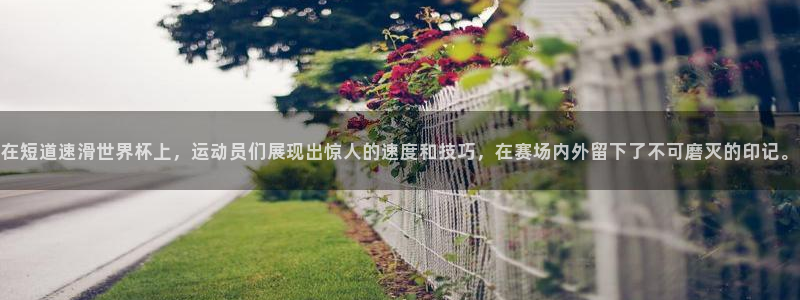 世界杯直播平台:在短道速滑世界杯上,运动员们展现出惊人的速度和技巧,在赛场内外留下了不可磨灭的印记。